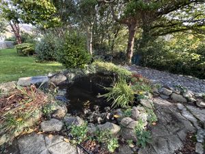 Photo 49- click for photo gallery